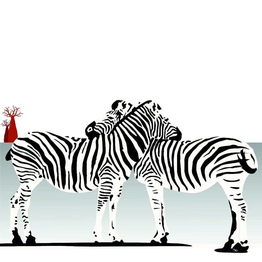Zebra Love